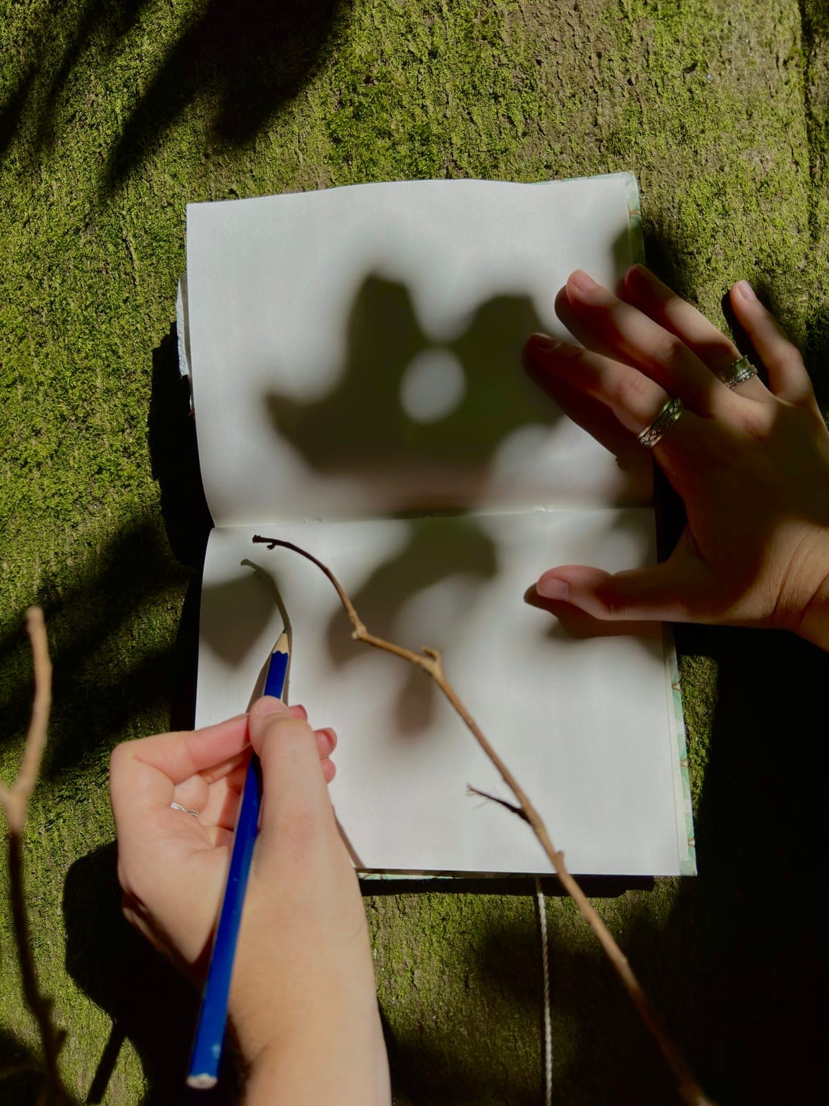 A nature journal open on a moss-covered trunk, pencil in hand
